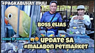 #update sa malabon petmarket#Aqua B1 opaline ni boss marvin#nakita ko uli si boss Elias😱🤩👍❤️ by jake ajusi 3,412 views 2 months ago 34 minutes