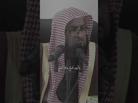 فضل حمل الموتى الجنازة