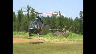 081012 Marijuana Grow Being Called One Of Biggest In Texas History
