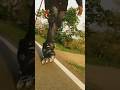 Ravi skating skating videos #short #viral