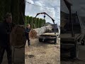 Loading A Walnut Tree With The Log Arch Sawmilling Woodworking Sawmill Walnut Logarch Loading A Walnut Tree With The Log Arch Sawmilling Woodworking Sawmill Walnut Logarch