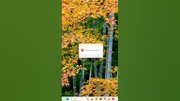 How to Fix 0x06 Errors (and Why They Happen)
