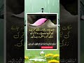 ایماب پکا ہو Live Music Religion Ajmalrazapoetry Inspirationalquotes Love Ajmalrazaqadripoetr ایماب پکا ہو Live Music Religion Ajmalrazapoetry Inspirationalquotes Love Ajmalrazaqadripoetr