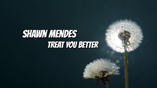 Shawn Mendes - Treat You Better(Lyrics)