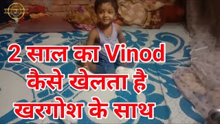 2 साल का Vinod कैसे खेलता है खरगोश के साथ ll 2 Sal Ka Vinod Kaise Khelta Hai KHargosh Ke Sath