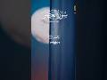 Holy Quran Pashto Translation #viral #shortvideos #shortsfeed #اكسبلور #islamicscholar