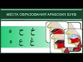 6. Места образования букв غ , خ , ع , ح , هـ , ء  | Айман Сувейд (русские субтитры)