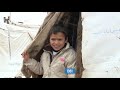 The UN Refugee Agency  Our Story
