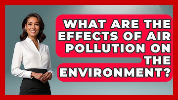 What Are the Effects of Air Pollution on the Environment? - Earth Science Answers