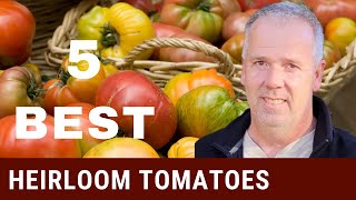 5 Favorite Heirloom Tomatoes to grow in 2022