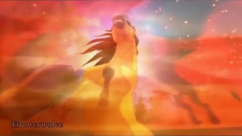 (REUPLOAD - READ DESCRIPTION!) II Into The Night II animash .M.E.P