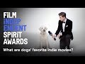 What are dogs' favorite indie movies? Watch the 2018 Spirit Awards on March 3