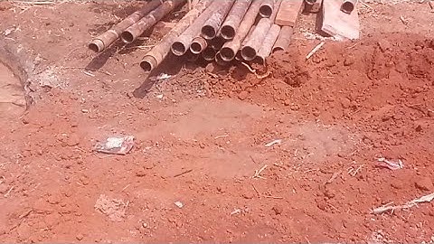 another way to reduce cost in catfish farming #fishing #fishpond #catfishfarm