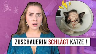 Zuschauerin schlägt Katze! (diese Erziehungsmethoden sind TIERQUÄLEREI)  #katzen