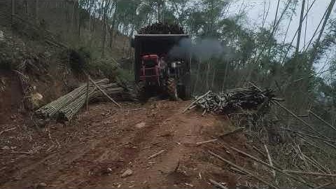 Xe công nông anh hùng chở trúc xuống núi và cái kết