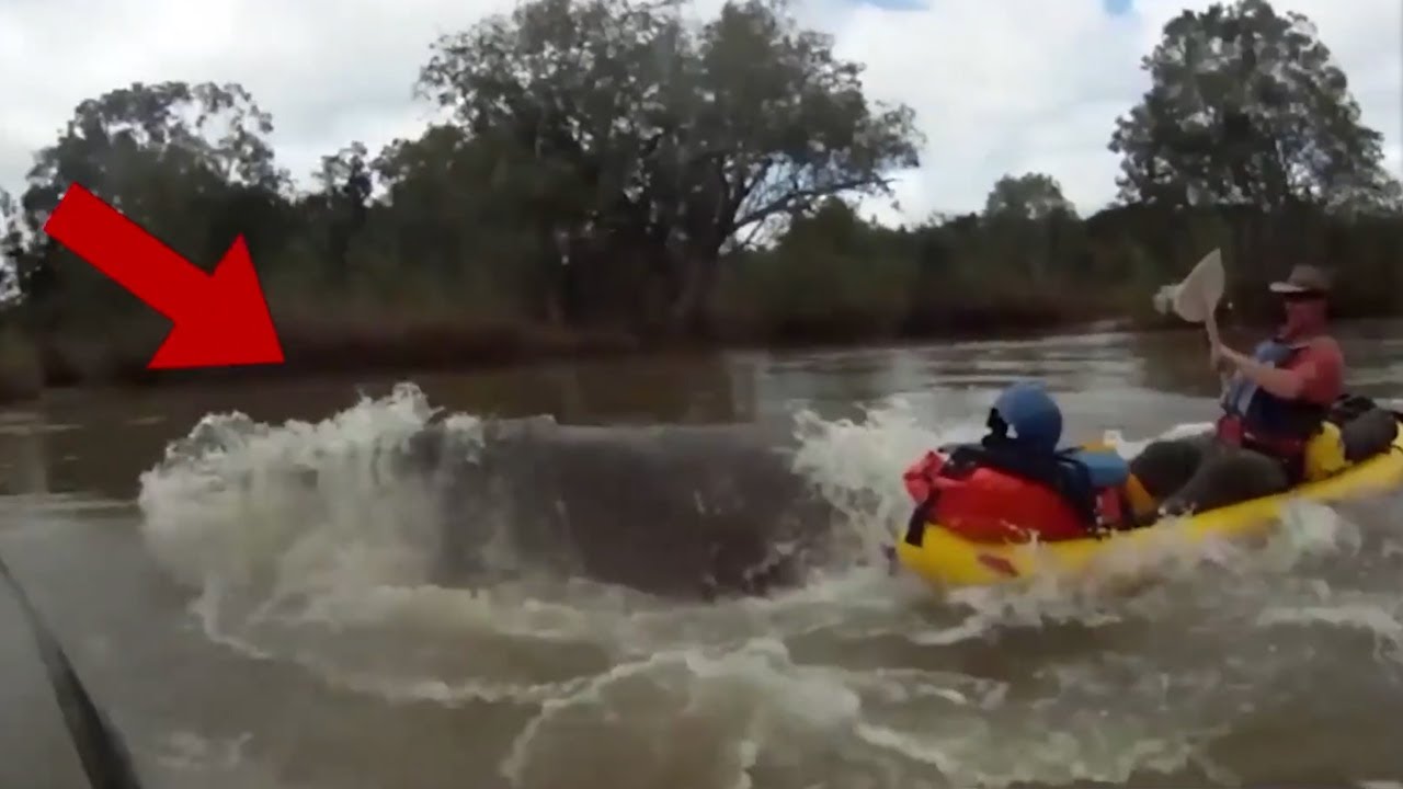 Scary Videos That Will Make You JUMP! - YouTube