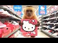 MONA ASMR ESPECIAL ZAPATILLAS DE HELLO KITTI