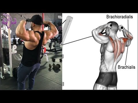 ejercicios gym para pectorales