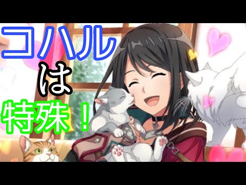 【SAOIF】コハル(パートナー)について解説！