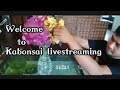 Jayros vlog is live happy livestream saturdayupdate