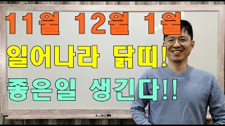 명리학으로 본 21년~22년 신축년 11월, 12월, 1월 닭띠 운세(33년, 45년, 57년, 69년, 8…