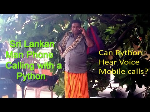 Lankan Man Voice Calling with a Python | Can Snakes Hear Phone Voice Calls ?