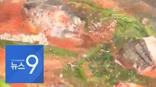 '생태탕' 먹으면 쇠고랑?…'국산 생태'만 해당 [포커스]