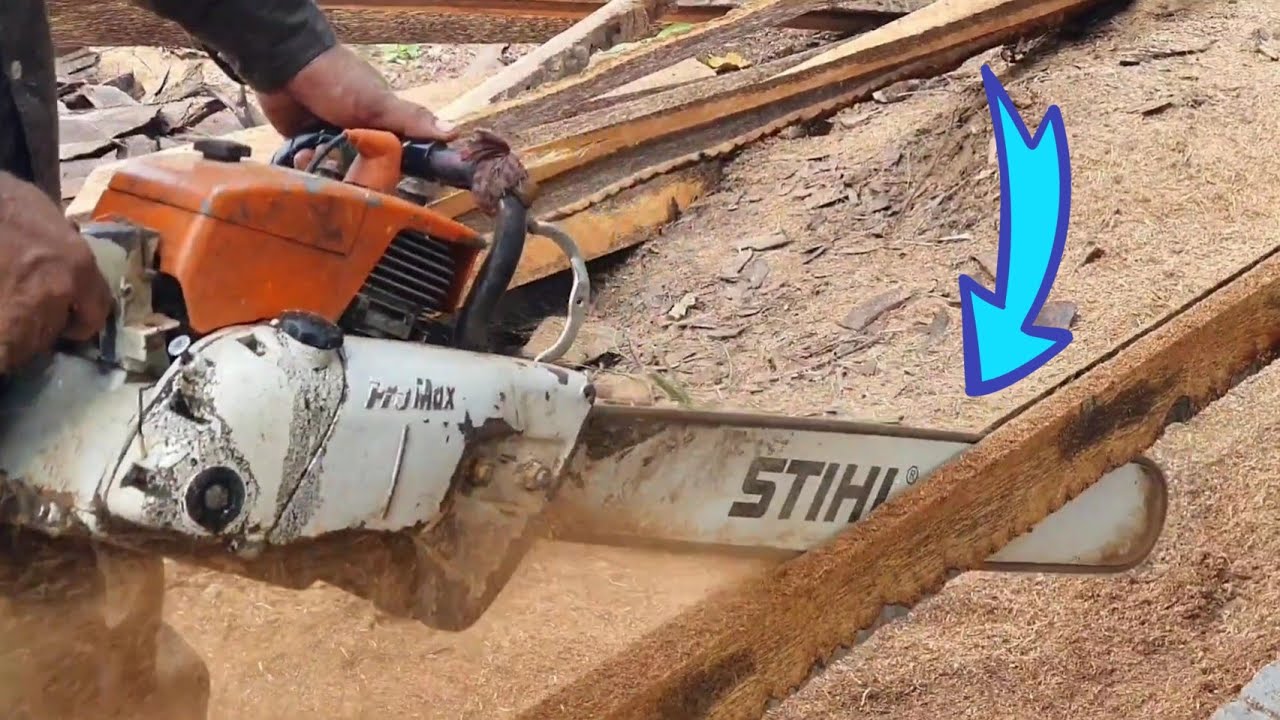 STIHL MS070 Chainsaw Wood Cutting Machine Cutting Palm Tree - YouTube