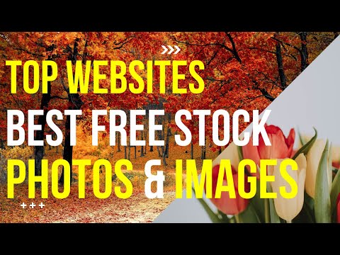 Top Websites For Best Free Stock Photos & Images