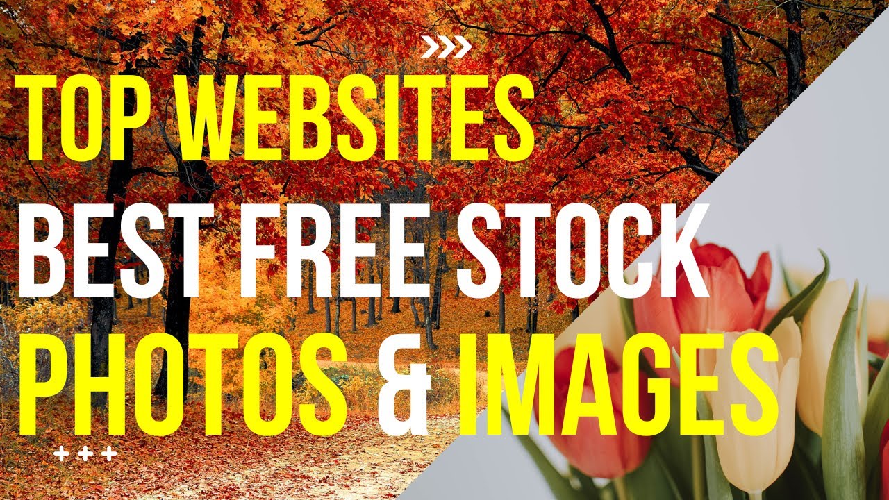 Top Websites For Best Free Stock Photos & Images - 2025