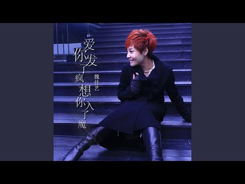 愛你發了瘋想你入了魔 (DJ沈念版)