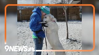Help stuff a truck for abandoned and mistreated animals in Colorado