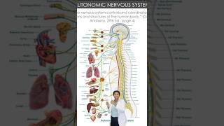 If you’re having #constipation or #digestion issues, #chiropratic may be what you’re missing!
