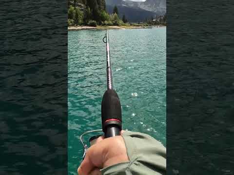 Catching trout at