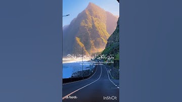 وَٱصْبِرْ عَلَىٰ مَا يَقُولُونَ وَٱهْجُرْهُمْ هَجْرًا جَمِيلًا _ القارئ عبد الرحمن مسعد #القران