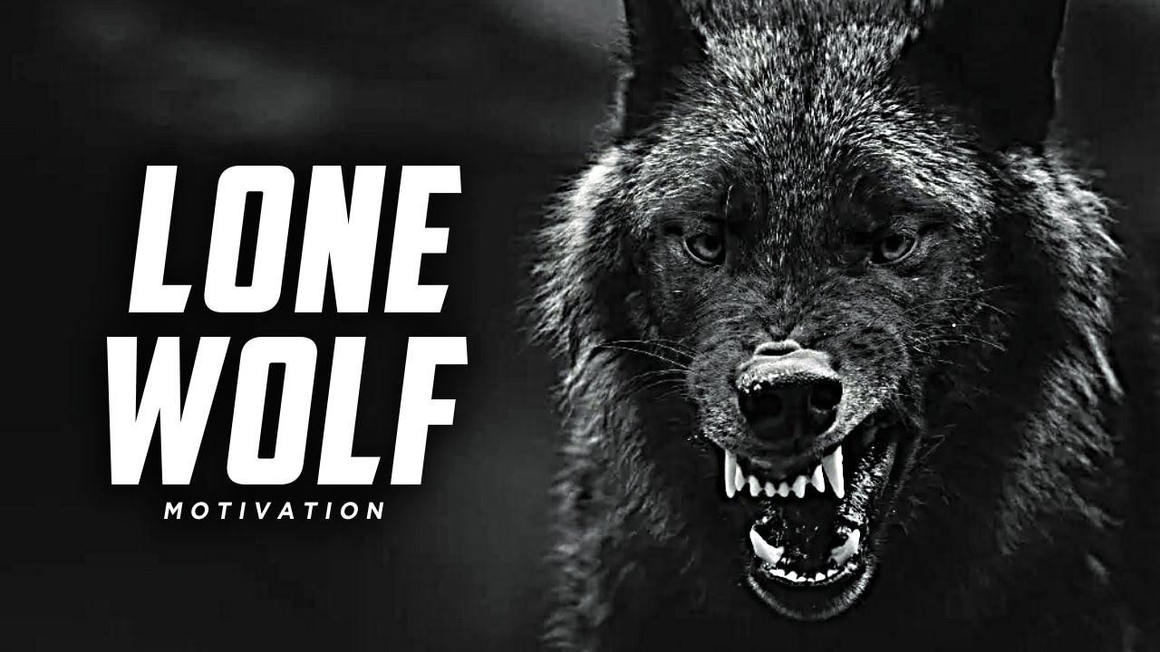 700+] Wolf Wallpapers | Wallpapers.com