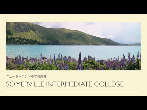 【ニュージーランドの学校紹介】Somerville Intermediate College