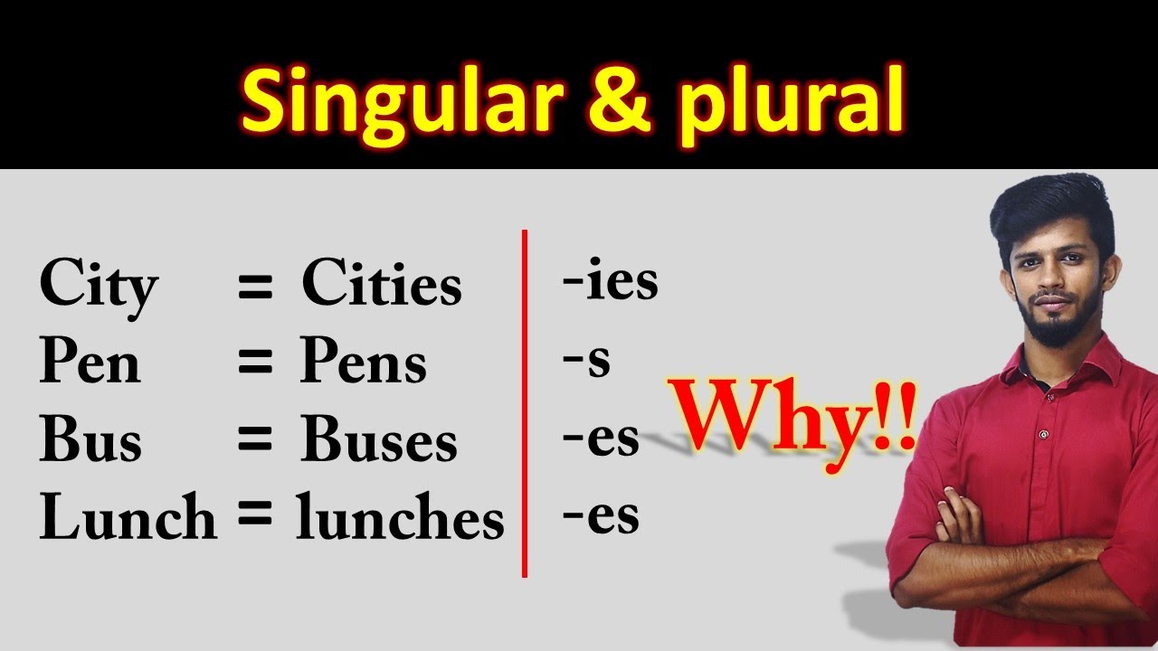 how-to-find-plural-form-of-any-words-singular-plural-s-ss-sh-ch-a4-academy