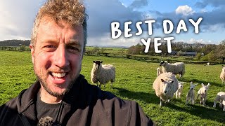 I LOVE lambing outside 🤪 | Lambing Day 14