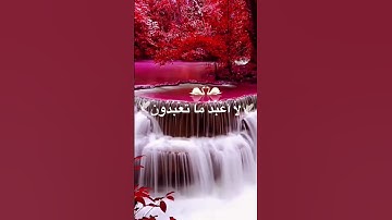 سورة الكافرون🥀♥️❤️#ماهر_المعيقلي #الله #relaxing #calm #راحة_نفسية #قرآن #ماهر #سورة #سورة_الكافرون