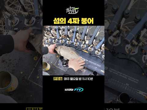 섬에서 낚은 붕어 #붕어낚시 #<strong>월척특급</strong>