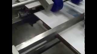 TPMI Corp. - Case feeding / Labeling system