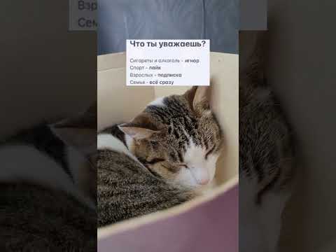 25 ноября 2023 г.