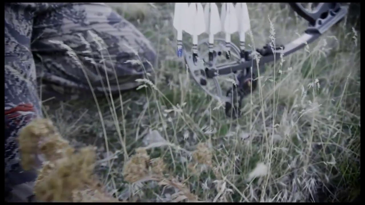 Cam Protector for compound bows YouTube