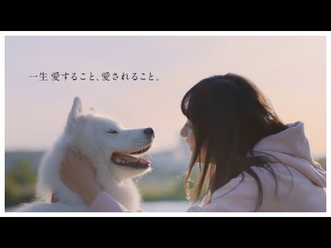 乃木坂46 4期生 遠藤さくら 『わたしには、なにもない。 27th 言えない。Ⅳ』