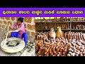 ಪುರಾತನ ಕಾಲದ ಮಣ್ಣಿನ ಮಡಿಕೆ ಮಾಡುವ ವಿಧಾನ | Pilikula | Family Tour | Mangalore