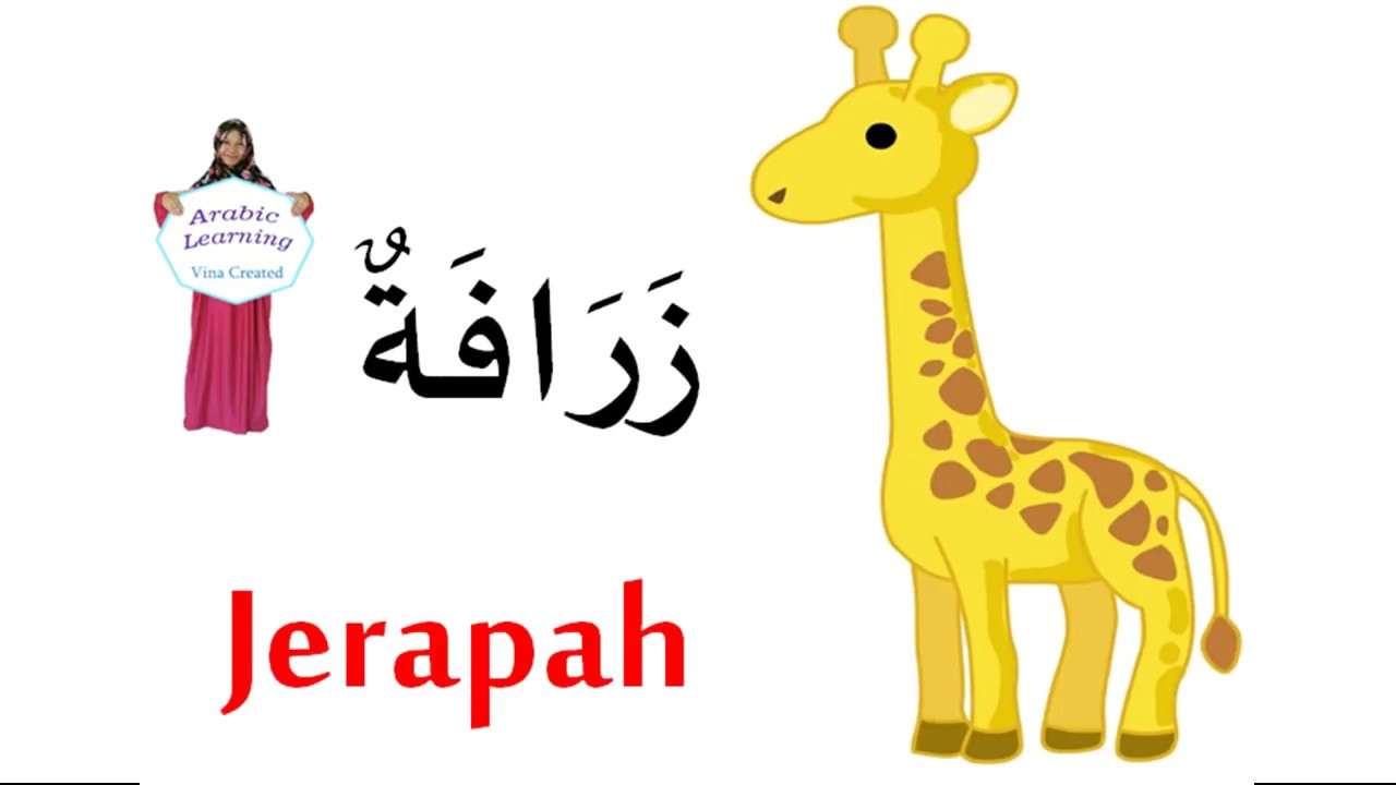  Nama  nama  Hewan  dalam Bahasa Arab YouTube