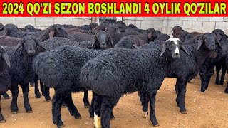 ☎️33-733-43-43 SIZ IZLAGAN TOJIKISTON 4 OYLIK QO'ZILAR KELDI BUNAQASI KAM KELADI SHOSHILING.