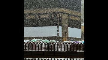 تلاوة سورة البقرة مع صوت مطر - بصوت الشيخ محمد صديق المنشاوي - القران الكريم مع صوت مطر مريح