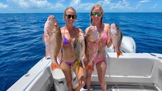 Snapper fishing in Key West FL - Teaser